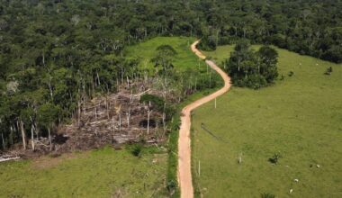A bold new investment fund aims to channel billions into tropical forest protection – one key change can make it better