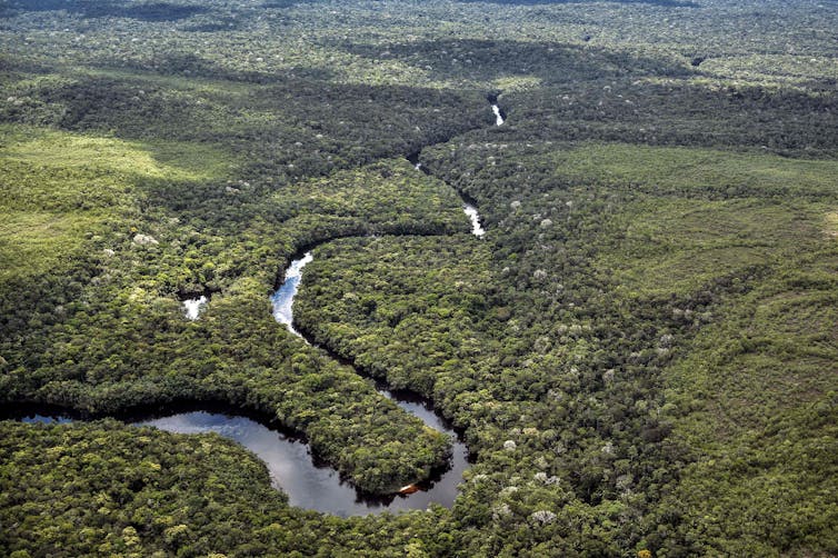 An aerial view of the Caquetá region, with a river winding through forest and areas of deforested land.