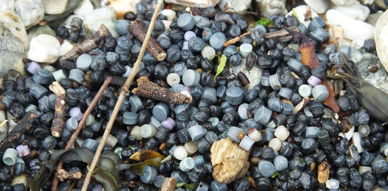 Plastic ‘bio-beads’ from sewage plants are polluting the oceans and spreading superbugs – but there are alternatives