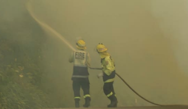 Vegetation blaze near rural Auckland suburb contained