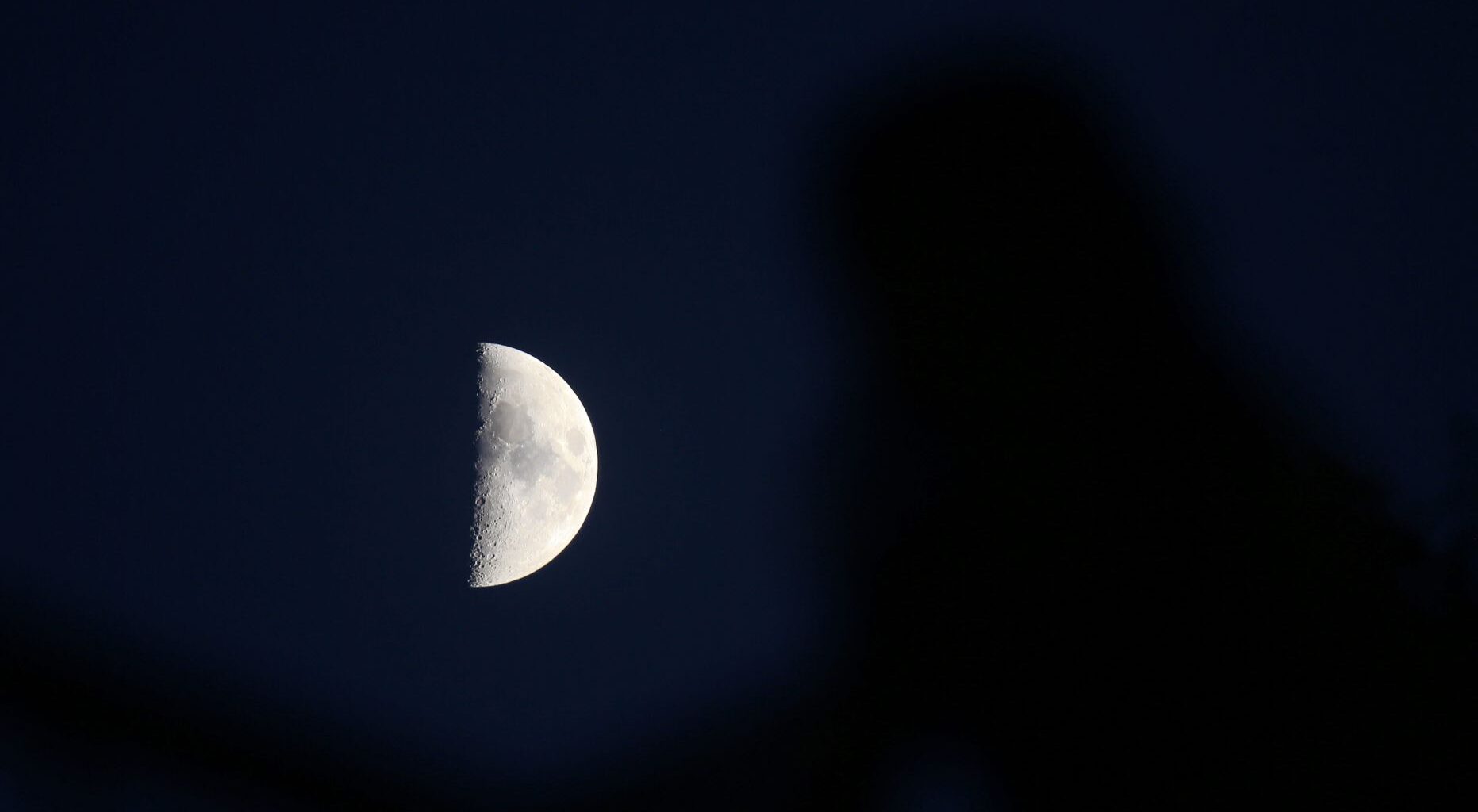 A first quarter moon is pictured against a dark blue sky with its right half lit by sunlight and its left bathed in shadow. The out-of-focus silhouette of a person is visible to the left of the screen, seemingly watching the moon.