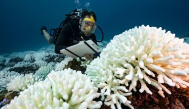 New reports paint picture of an ‘extremely dangerous’ future with warming expected to blow past key limit