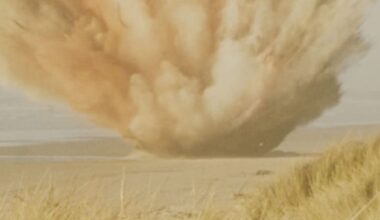 Today in History - November 12: Dramatic overestimation in how much dynamite is needed to blow up a whale