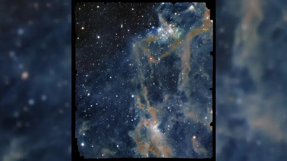 Clouds of dust obscure the young stars growing in this stellar nursery. (Image credit: ESA/Euclid/Euclid Consortium/NASA, image processing by M. Schirmer (MPIA, Heidelberg))
