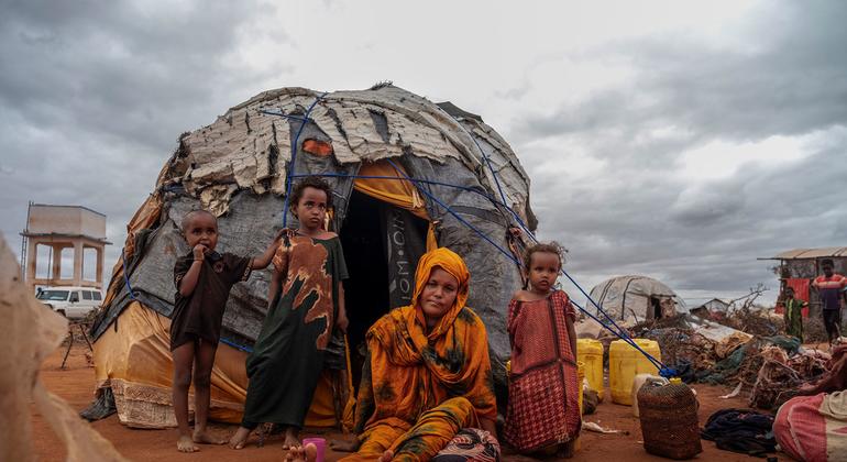 Battlefields to wastelands: UN warns conflicts are destroying ecosystems worldwide