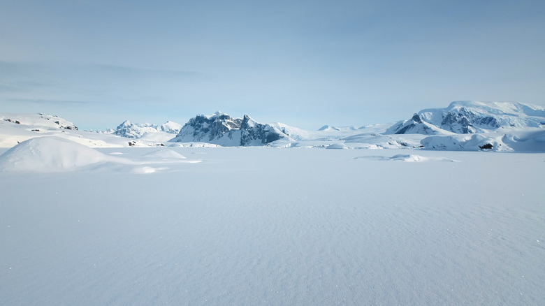 ice and snow in Antarctica