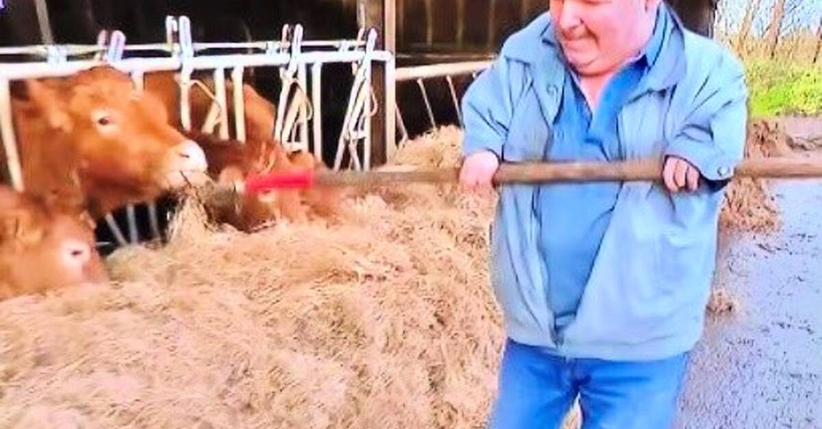 Kerry member of Thalidomide Association says Taoiseach and Tánaiste have taken responsibility for survivor scheme