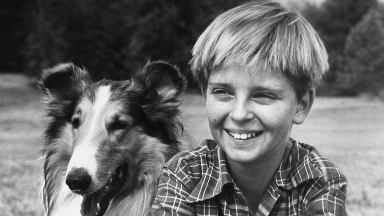 Lassie and Jeff Miller (Tommy Rettig) smile