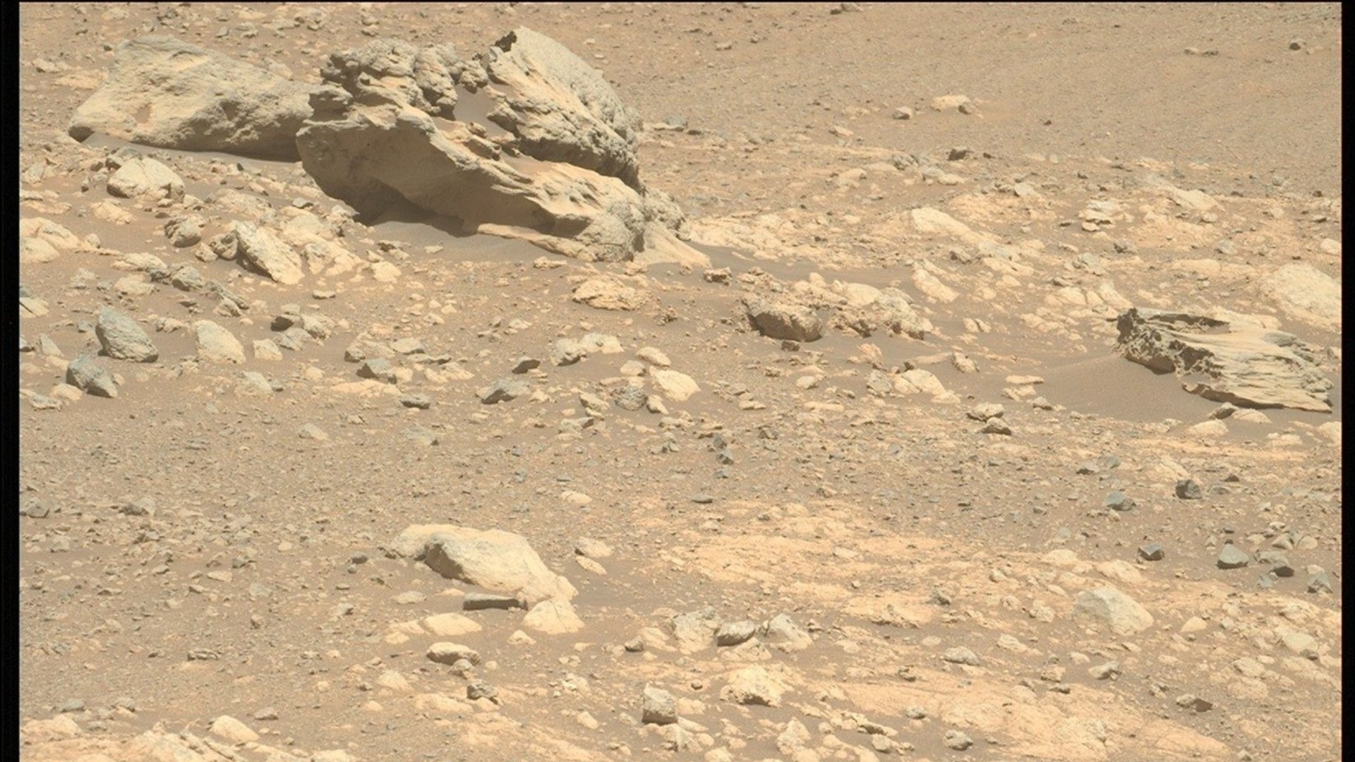 a coral-like rock on a reddish orange dusty surface