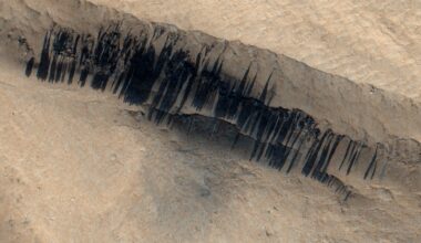 A series of black streaks across a brown sandy surface