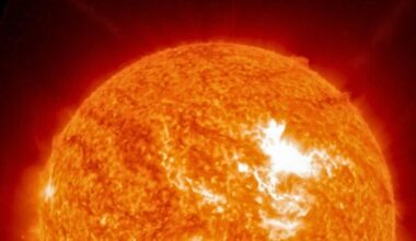 close up view of the sun firing off a colossal X5.1 solar flare on Nov. 11.