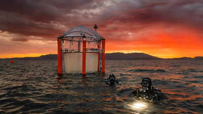 Oceans in danger!  EU warns ocean carbon removal once seen as a ‘miracle climate cure’ may turn into a global threat