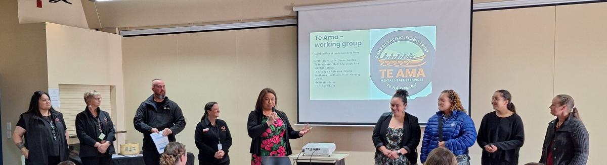 Mental health service launched | Otago Daily Times Online News