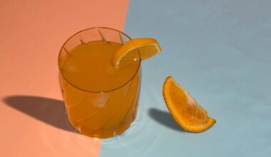 A glass of juice in a tumbler with two orange slices one next to the glass and one on the rim