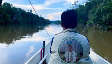 Defying coca lords and loggers in the Amazon