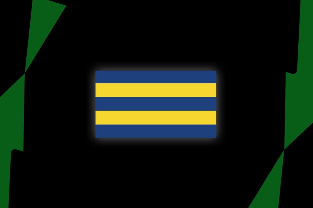 Parramatta Eels sign young New Zealand cross-code convert - NRL News