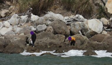 DOC offers marine reserve rule reminder after spike in breaches