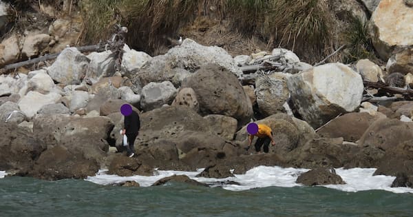 DOC offers marine reserve rule reminder after spike in breaches