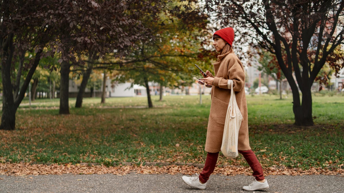 A person with brown hair up in a bun walking a white dog in a park surrounded by trees.