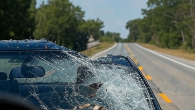 'Craziest thing I’ve ever seen': Bald eagle drops cat on car in North Carolina; mid-air fight breaks windshield