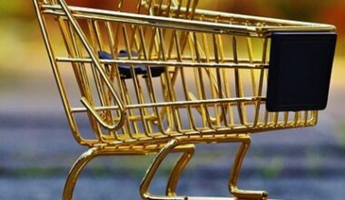 The mystery behind modern spending choices