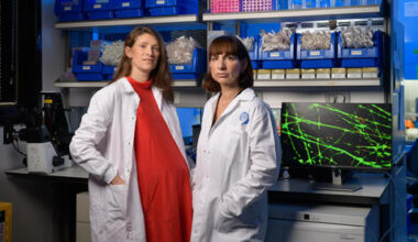 The women turning a blood sample into a map of the depressed brain