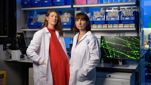 The women turning a blood sample into a map of the depressed brain