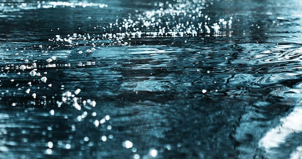 Man drowns at central Auckland beach