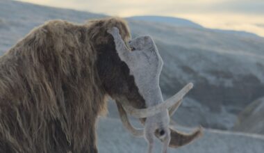 Woolly mammoths fight off attacking saber-toothed cats in stunning new 'Prehistoric Planet' clip
