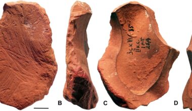 Neanderthals May Have Created Ochre Tools for Drawing, New Study Finds
