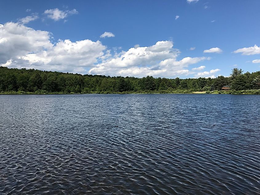 Wind creating ripples on a sunlit lake.
