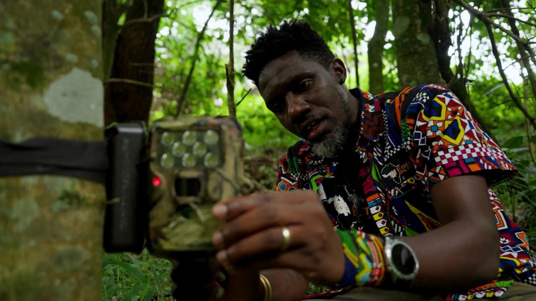 Wildlife biologist Mwezi Mugerwa fits a camera trap to a tree.