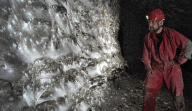 a man in a cave observing a massive spiderweb