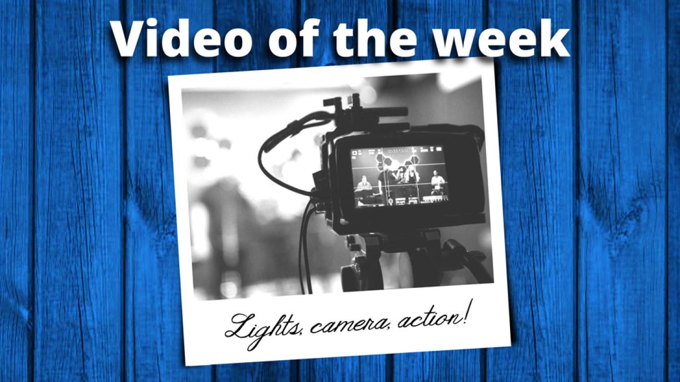 South Luangwa showcased in new Attenborough series