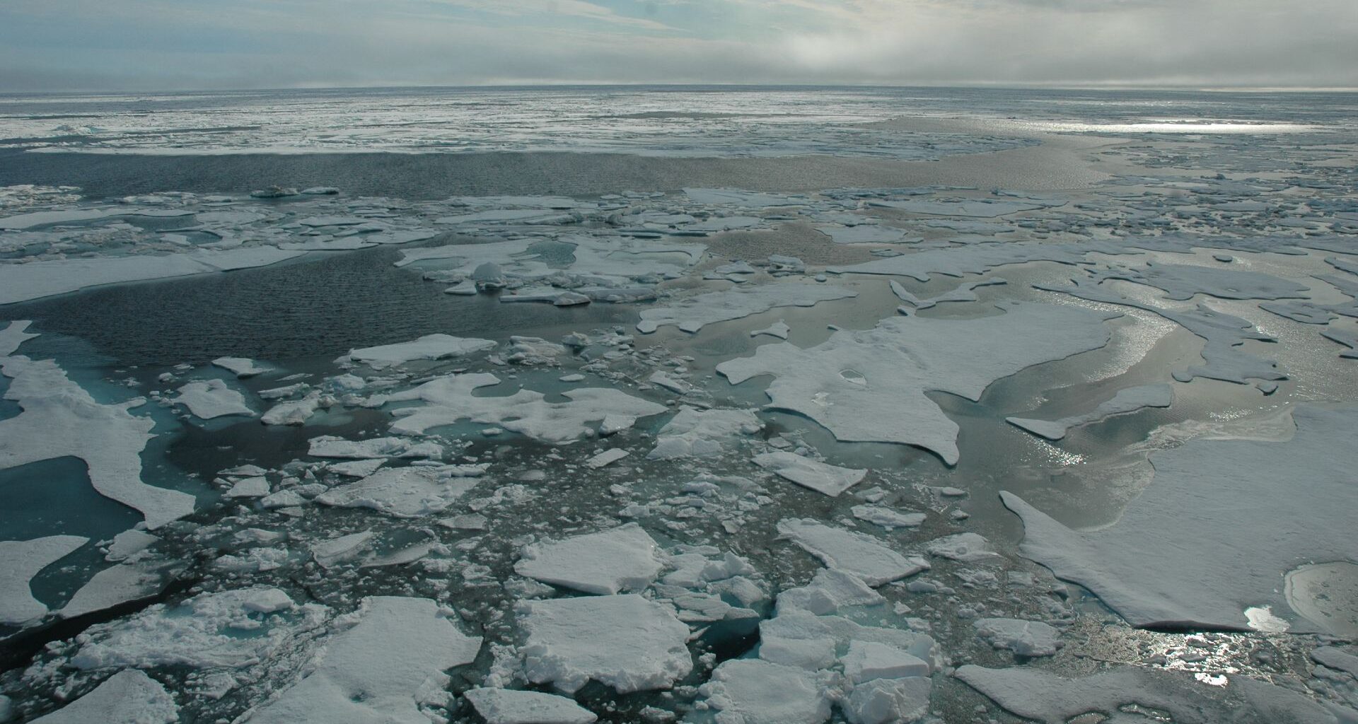 A series of white patches of ice float in a teal blue ocean with a gray sky in the background