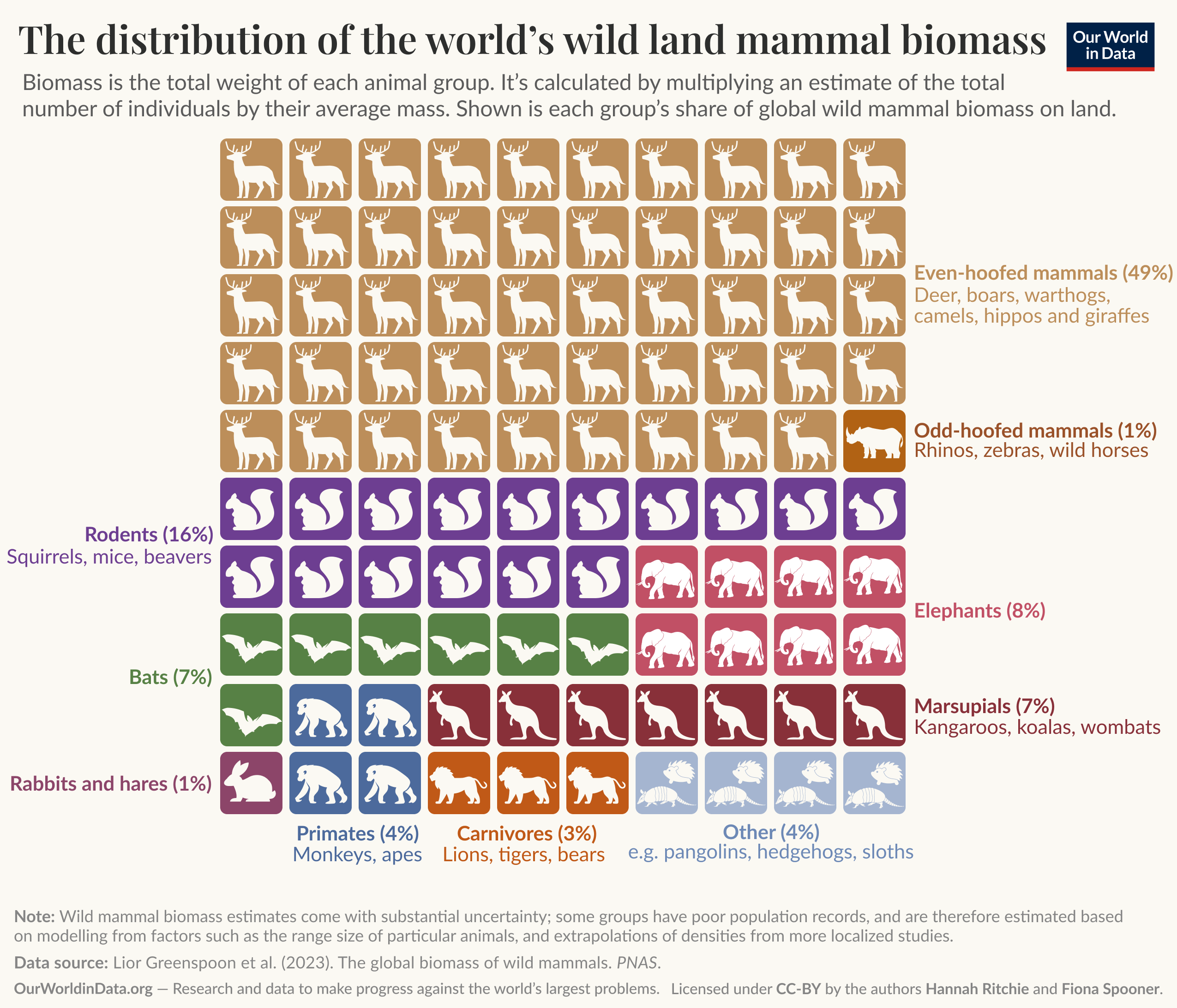 The image is a colorful data visualization illustrating the distribution of global land mammal biomass by various groups. It consists of a grid of icons representing different mammal categories, each sized according to their biomass share. 

- Even-hoofed mammals occupy the largest portion with 49%, depicted in light brown.
- Rodents make up 16%, shown in purple with icons of small mammals like squirrels and beavers.
- Elephants, marked in orange, account for 8%.
- Bats represent 7%, illustrated with bat icons in dark green.
- Marsupials, such as kangaroos and koalas, cover 7% in pink.
- Odd-hoofed mammals occupy a small fraction at 1%, shown in dark brown with rhino and zebra icons.
- Rabbits and hares also represent 1%, depicted in light gray.
- Primates hold 4%, represented in teal, while carnivores, including lions and tigers, represent 3% in blue.
- The category labeled "Other," which includes animals like pangolins and hedgehogs, makes up 4% and is shown in gray.

At the top, a title explains the graphic's context. Underneath, important notes highlight uncertainties in estimates and the data source: a study by Lior Greenspoon et al. published in PNAS in 2023. The image is licensed under CC-BY by Hannah Ritchie and Fiona Spooner, with a footer stating the source as Our World in Data, which aims to assist in addressing global challenges.