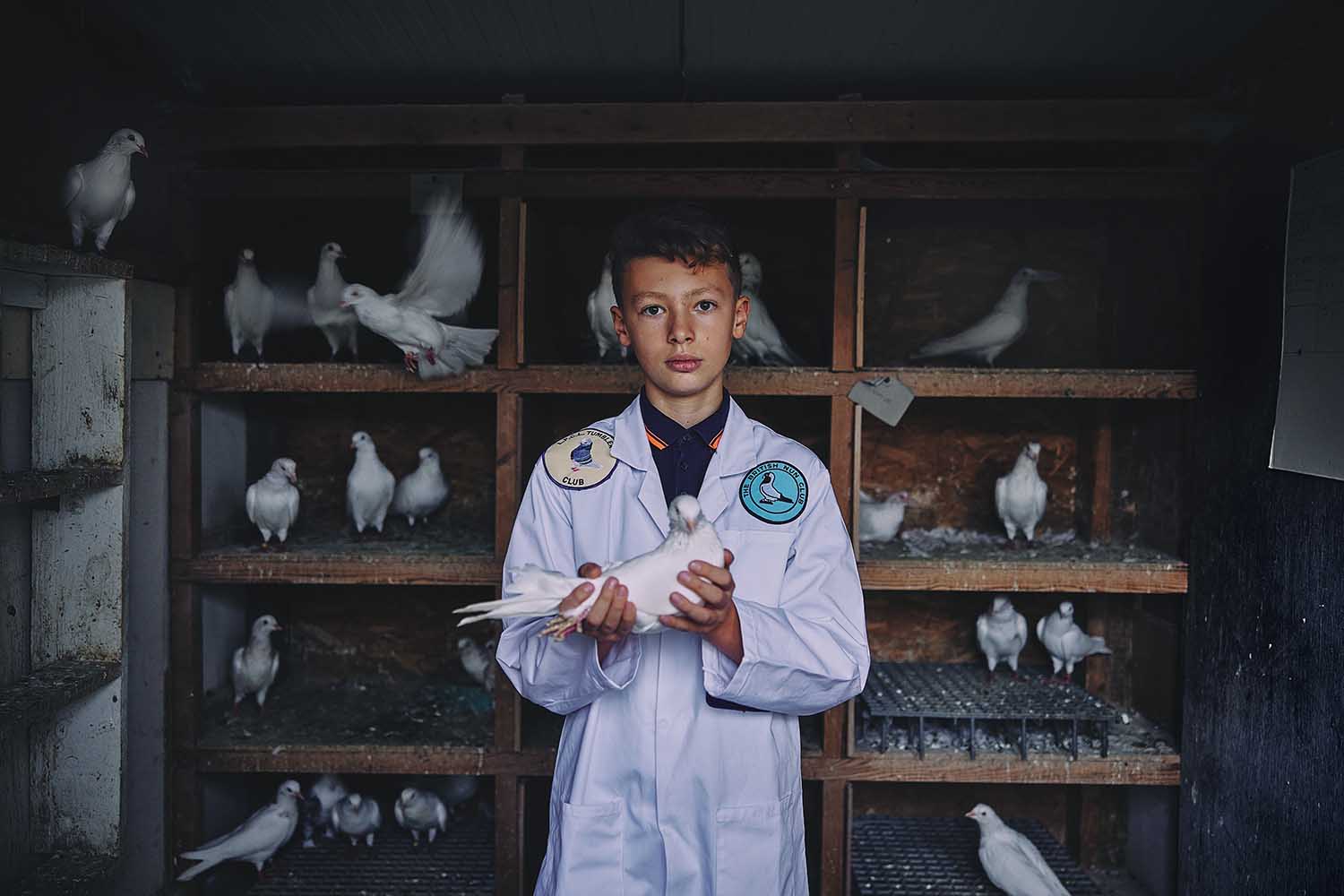 Young pigeon fancier Harry Henderson holds a white pigeon in a coop.