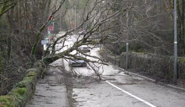 Extreme weather events to become more frequent in Ireland