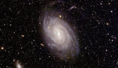 The unprecedented images from the Euclid telescope - like this image of NGC6744 - have helped inform the behaviour of black holes (Credit : ESA/Euclid/Euclid Consortium/NASA)