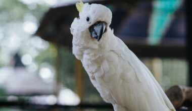 Yahoo lifestyle home