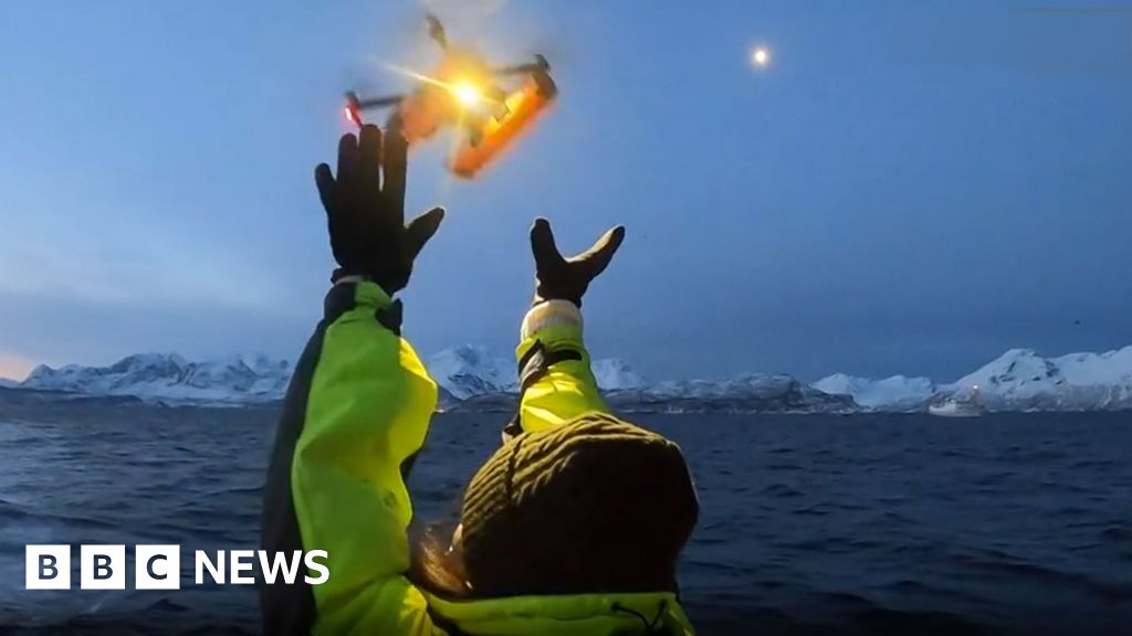 Drones detect deadly virus in Arctic whales' breath