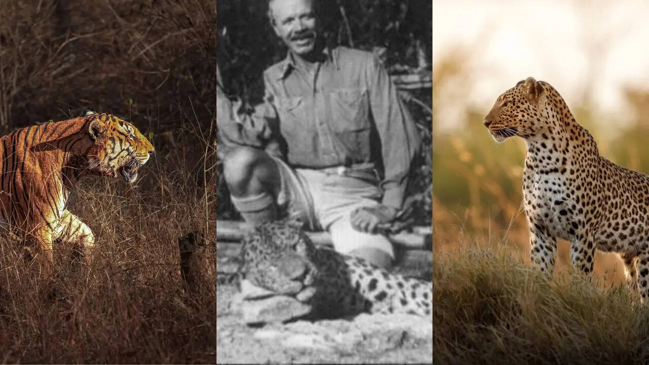 Who Was Jim Corbett? Inside The Life Of Kumaon 'Hunter' Who Killed 19 Man-Eater Tigers Before Becoming A Conservationist | People