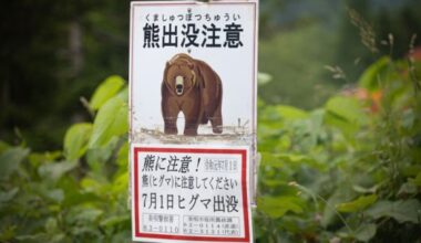 Security guard jumped by bear at public restroom in middle of Numata City