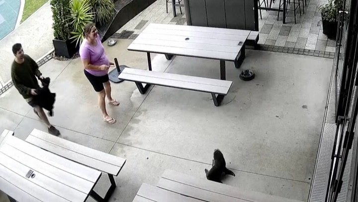 Video Player Placeholder