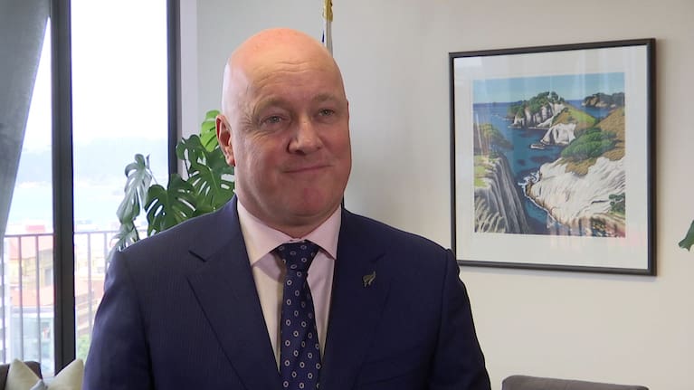 National Party leader Prime Minister Christopher Luxon