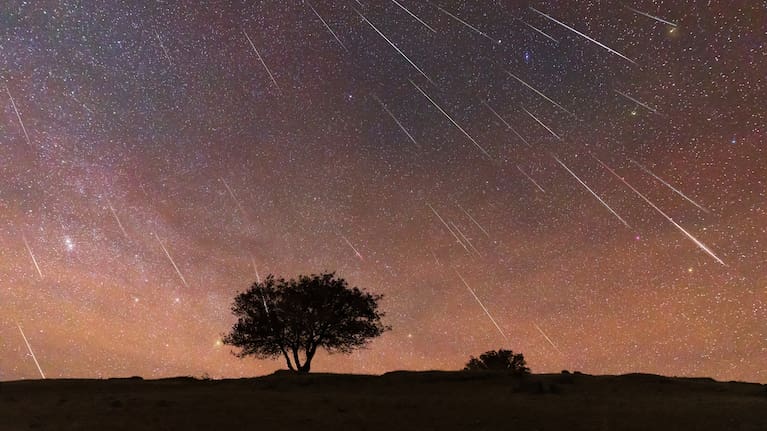 Photos showing dozens of meteors against the background stars are composites of many photographs taken over a period of several hours.