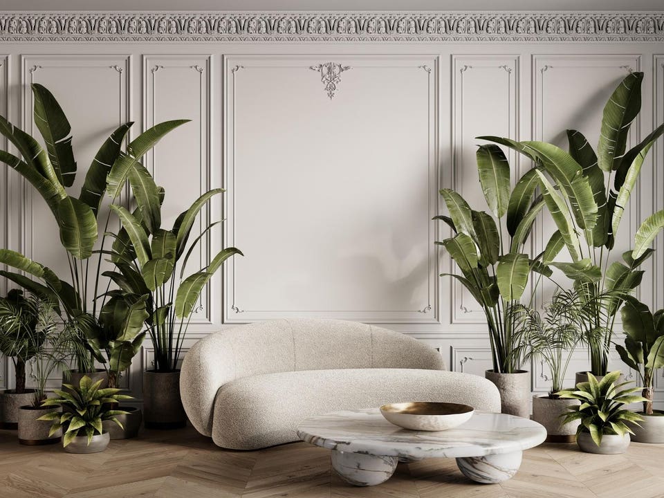 White contemporary classic interior with boucle fabric sofa, marble coffee table, moldings, potted tropical plants and decor. 3d render illustration mockup.