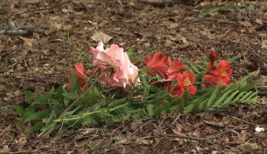 No independent investigation for 4000 unmarked graves