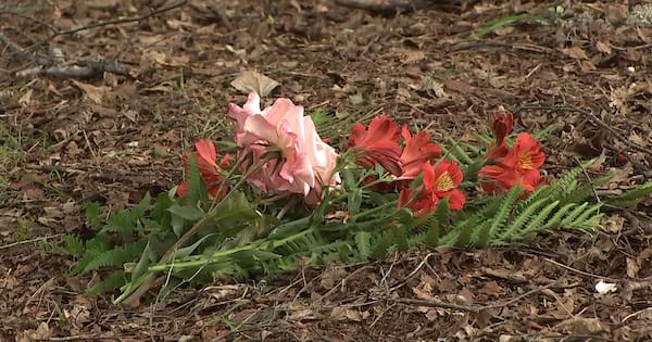 No independent investigation for 4000 unmarked graves