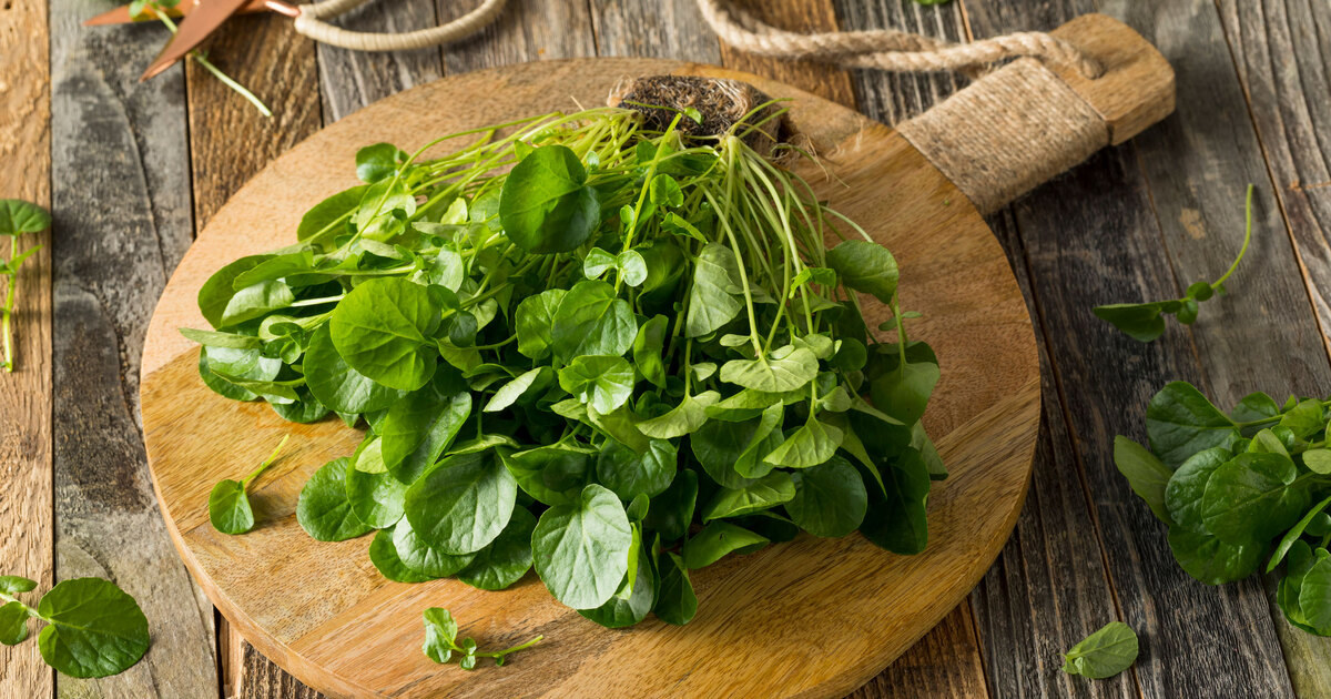 Why the World’s Healthiest Vegetable Rarely Makes It to Dinner